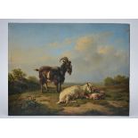 Pierre Dielman: painting (o/p) 'goats in a field', 1849 (43x33cm)