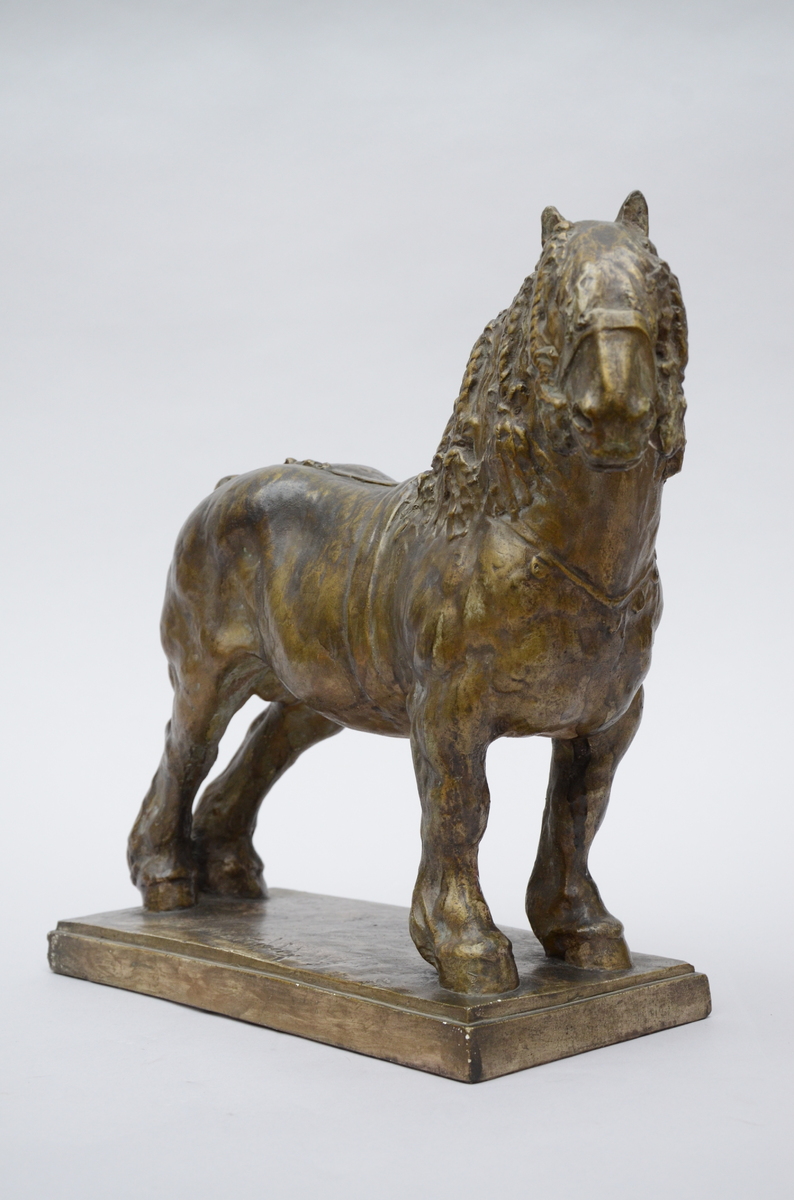 Domien Ingels: statue (plaster) 'horse' (18x52x41cm) - Image 3 of 5