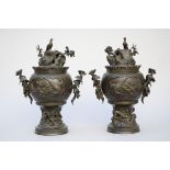 A pair of Japanese bronze vases 'birds' (*) (60cm)
