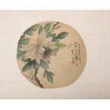 Feuille d'éventail de forme ronde à décor de pivoines en fleurs. Encre de chine et [...]