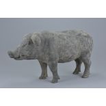 A Chinese Han Dynasty (206BC - 220AD)  grey Pottery figure of a pig. 43cms long