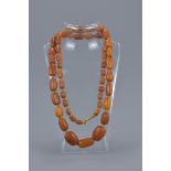 A graduated amber bead necklace. Bead size 9mm - 24mm length. Weight total 64 grams