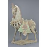 A very large Chinese Tang dynasty style standing painted pottery figure of a horse. 69cm tall