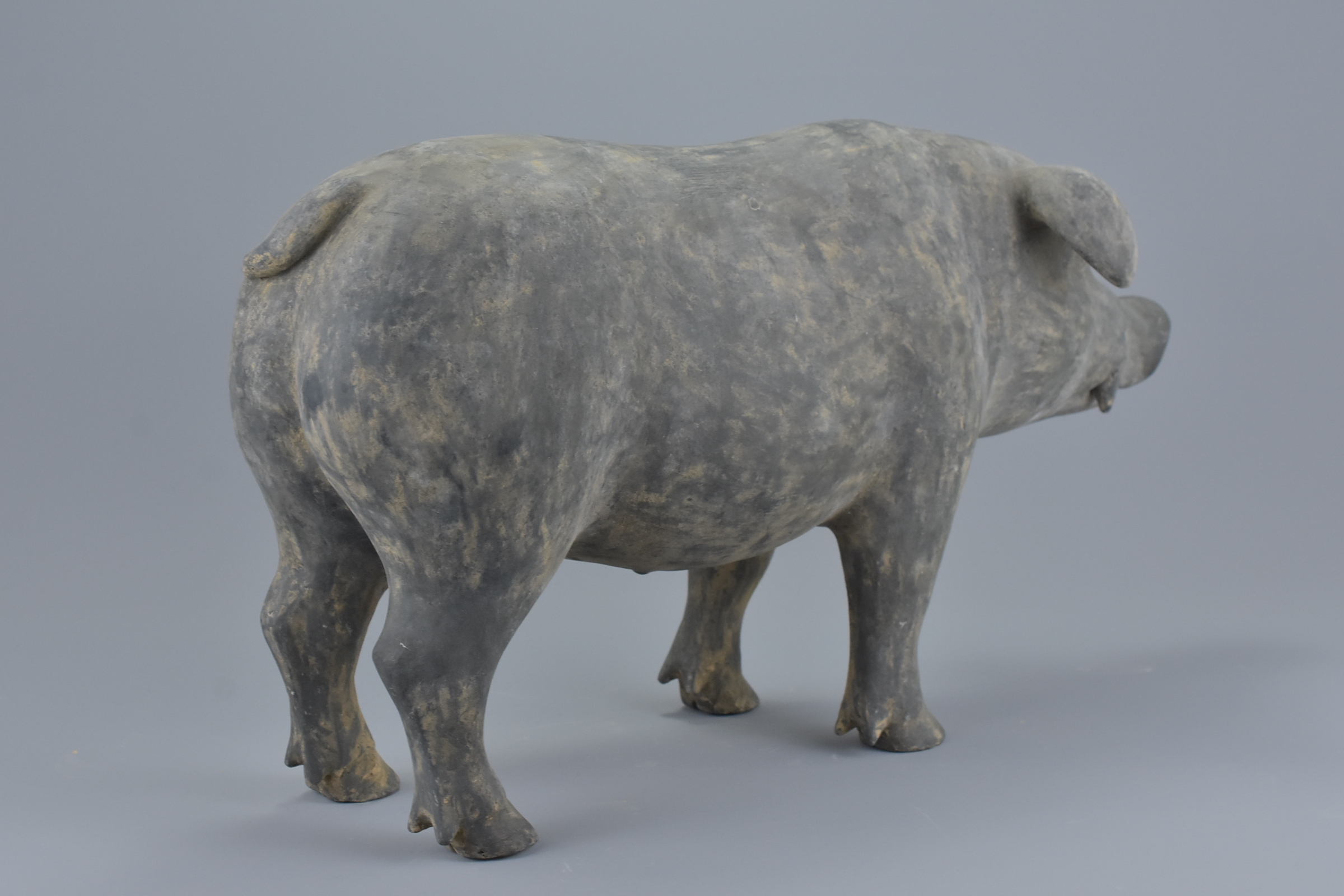 A Chinese Han Dynasty (206BC - 220AD) dark grey Pottery figure of a pig. 43cms long - Image 3 of 5