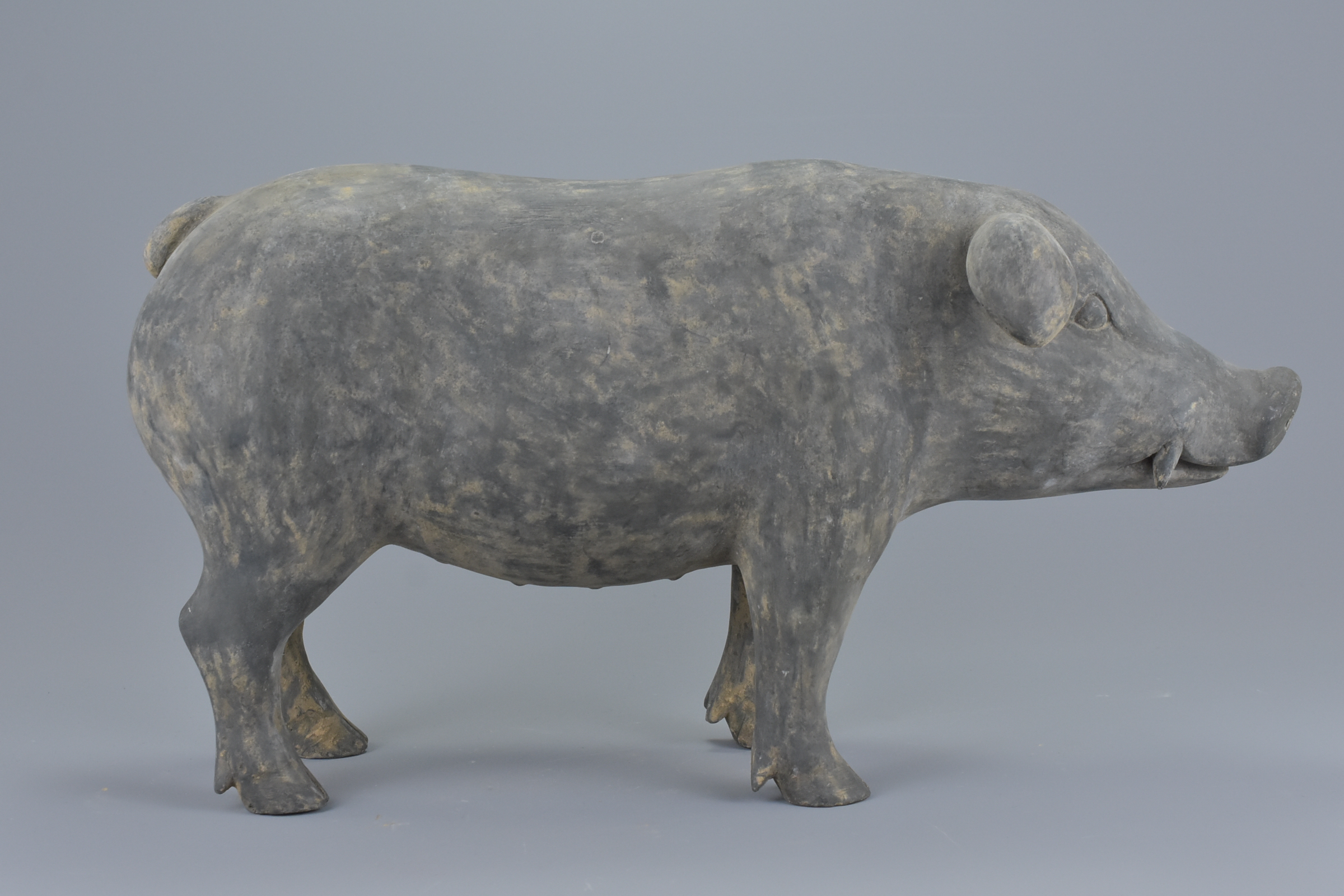 A Chinese Han Dynasty (206BC - 220AD) dark grey Pottery figure of a pig. 43cms long - Image 4 of 5