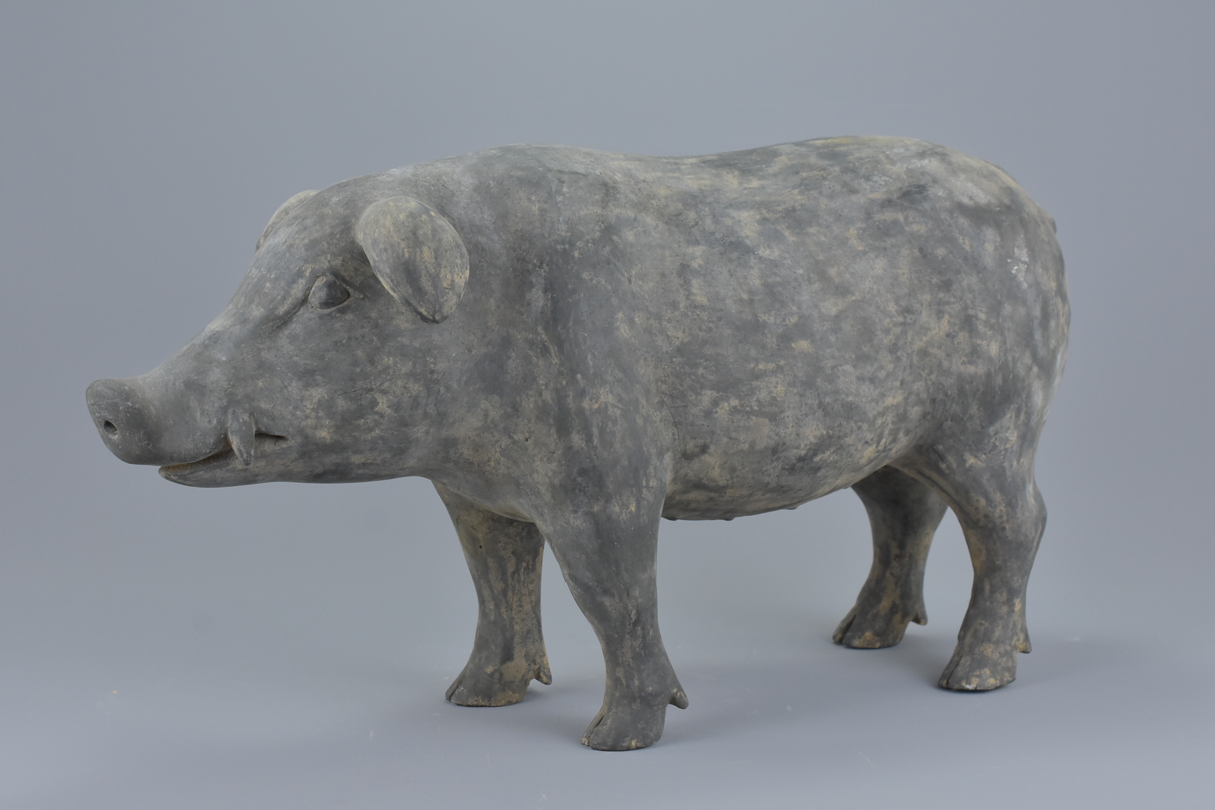 A Chinese Han Dynasty (206BC - 220AD) dark grey Pottery figure of a pig. 43cms long