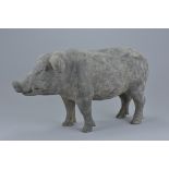 A Chinese Han Dynasty (206BC - 220AD) dark grey Pottery figure of a pig. 43cms long