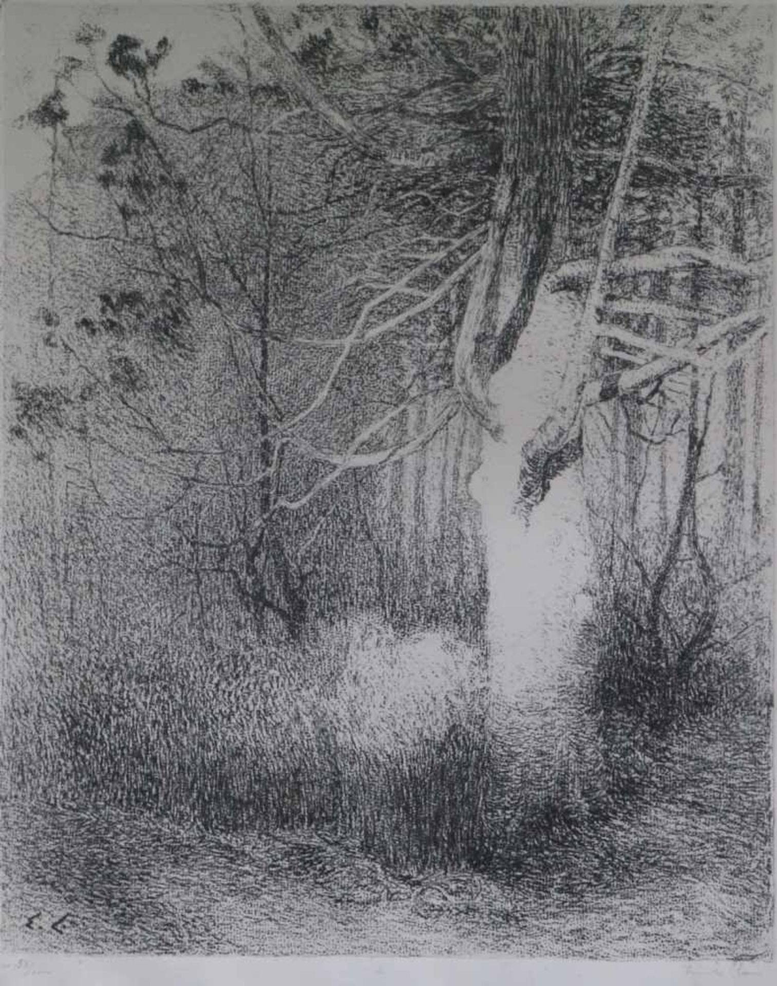 Emile CLAUS (1849-1924)Litho 58/100 signed in pencil42, 5 x 52 cm