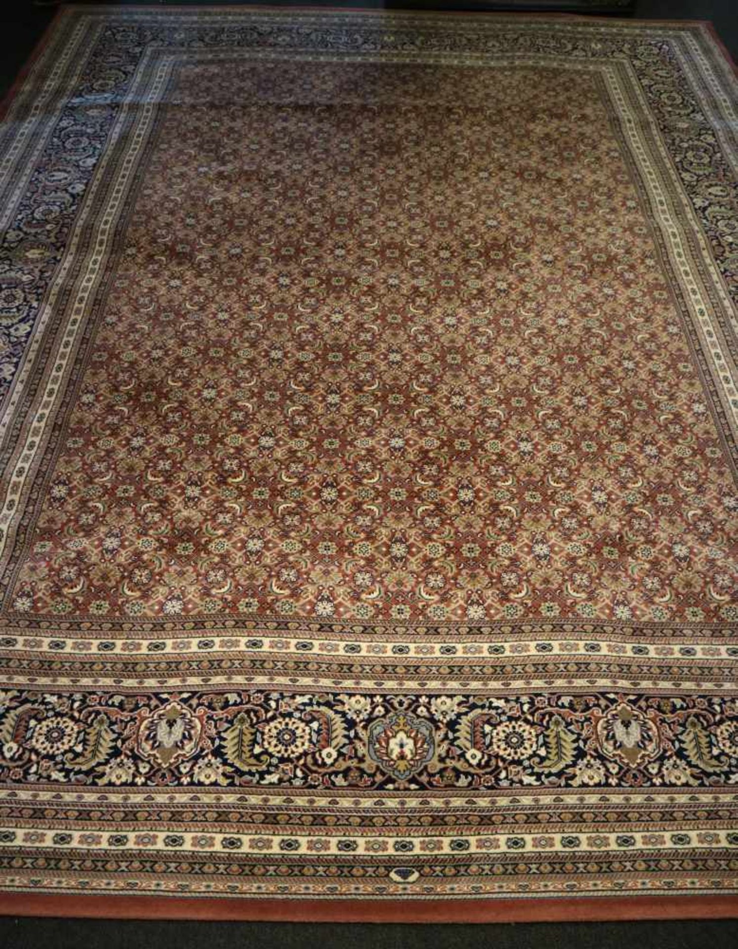 Carpet Osta carpets pure new wool