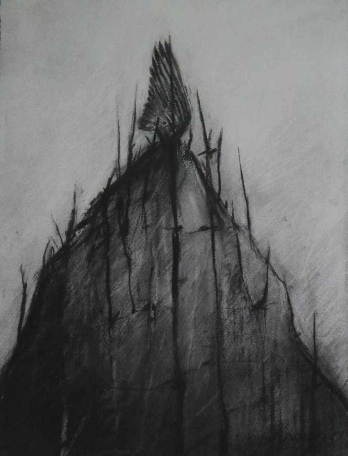 Michele Grosjean (1943) charcoal and watercolor, Wing (2005) 40 x 30 cm