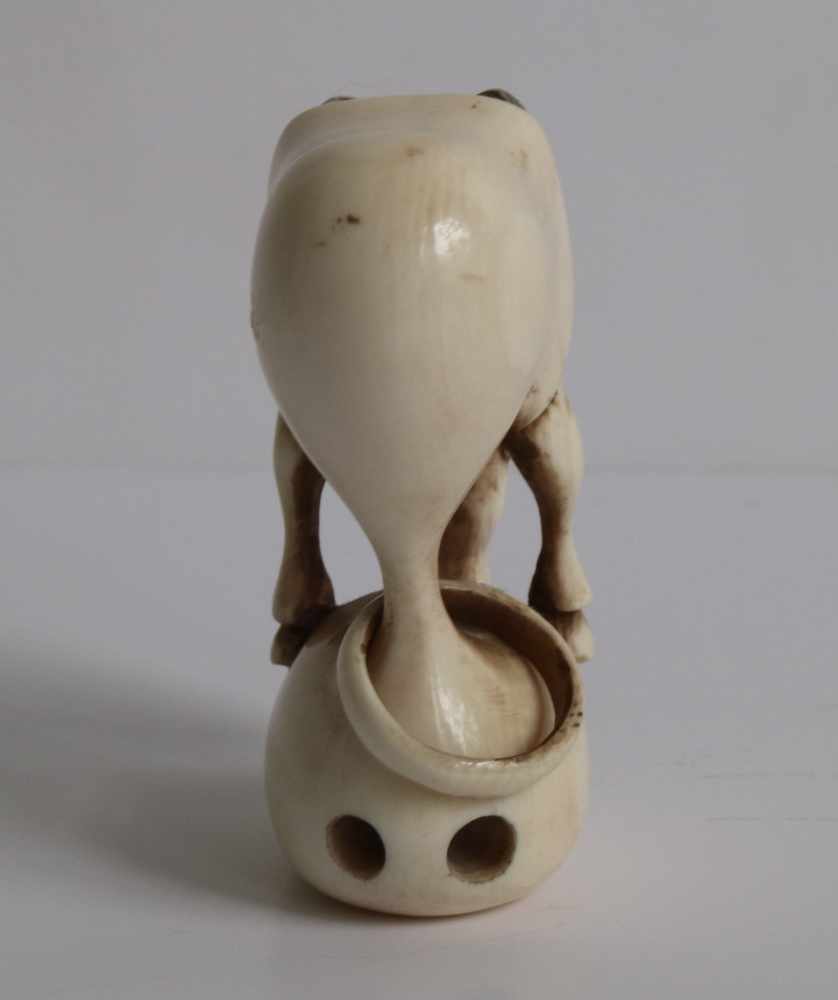 Netsuke Chokwaro Ivory depicting Chokwaro Sennin's horse extracting himself from his master's gourd - Image 2 of 5