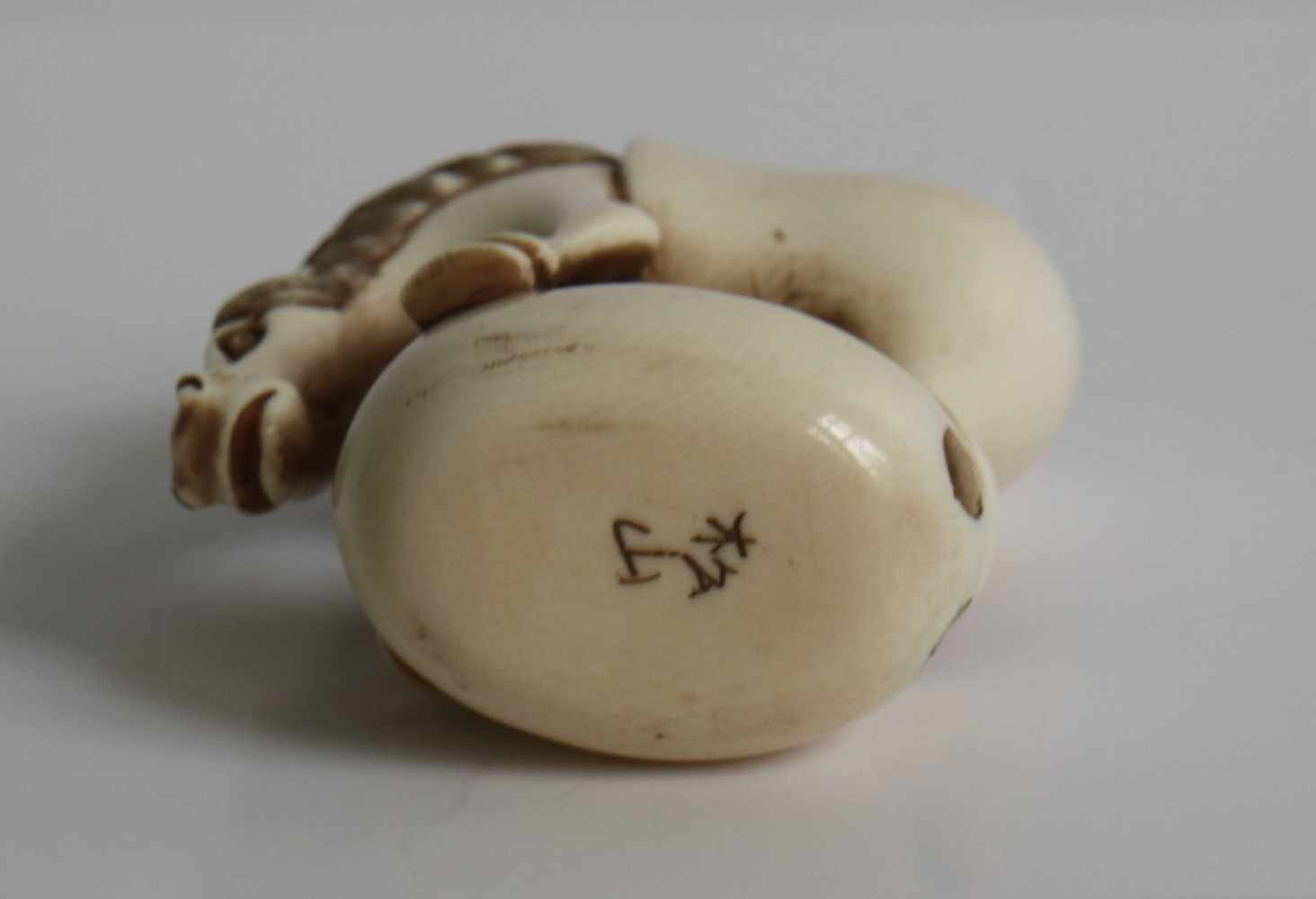 Netsuke Chokwaro Ivory depicting Chokwaro Sennin's horse extracting himself from his master's gourd - Image 5 of 5