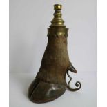 Buffalo leg Transformed into a candlestick holder H 39 cm