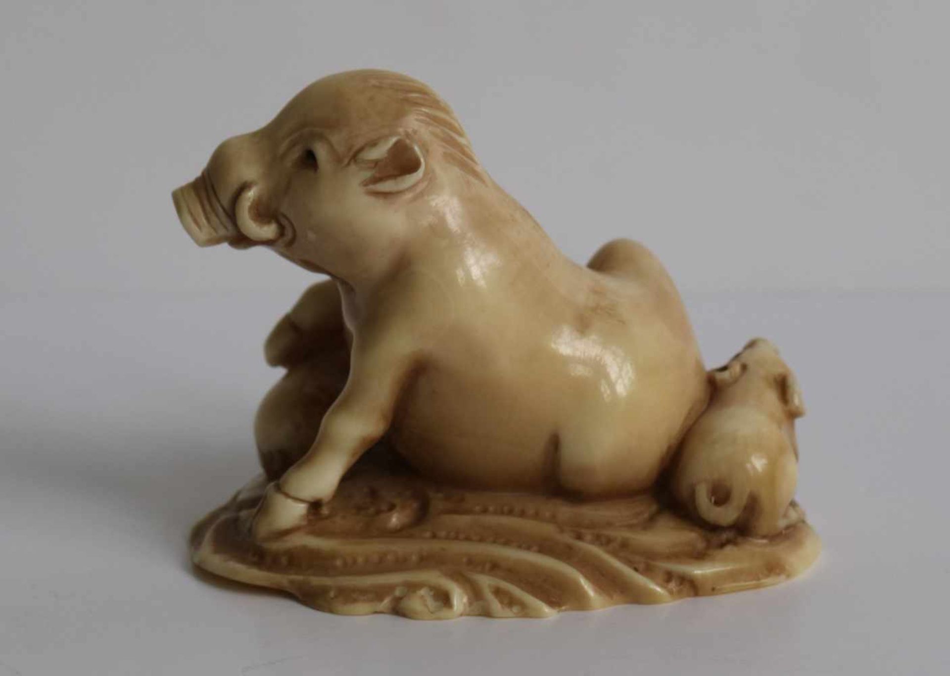 Netsuke Okimono Ivory a wild sow and her cubs Japan, MEIJI period H 3,7 cm fine quality private - Bild 3 aus 5