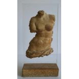 Michel CAYLA (XX-XXI) bust ceramic H 40 cm