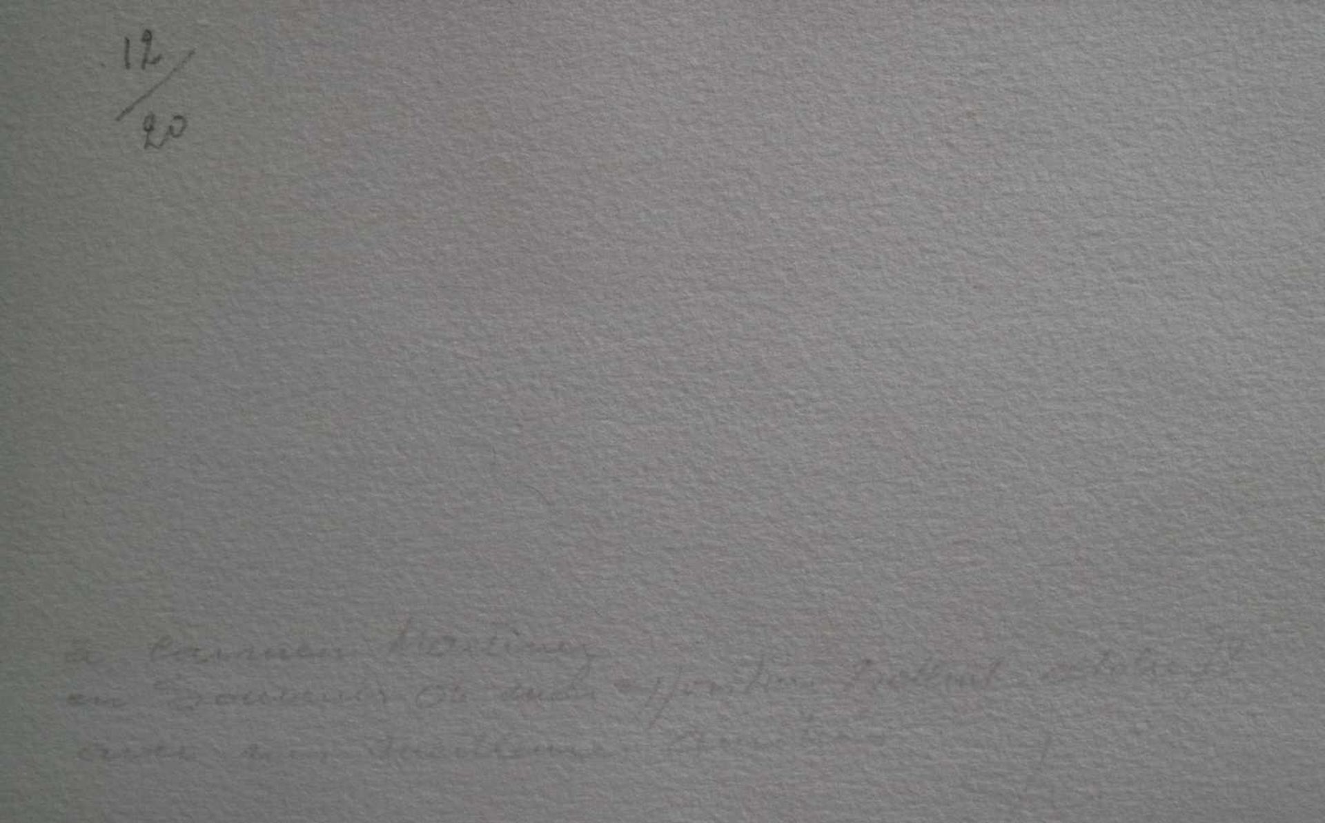 Luc PEIRE (1916-1994) Serigraph Untitled n ° 12/20 38 x 46 cm signed - Bild 3 aus 3