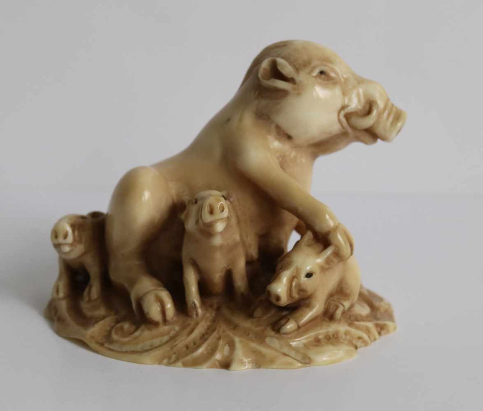 Netsuke Okimono Ivory a wild sow and her cubs Japan, MEIJI period H 3,7 cm fine quality private