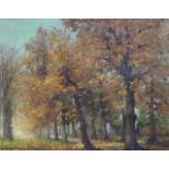 Belgian school oil on canvas Autumn landscape 70 x 55 cm