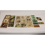 A collection of Victorian tiles all depicting flowers