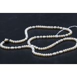 9CT Gold Pearl Necklace