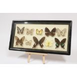 Taxidermy: Victorian Butterflies in Case
