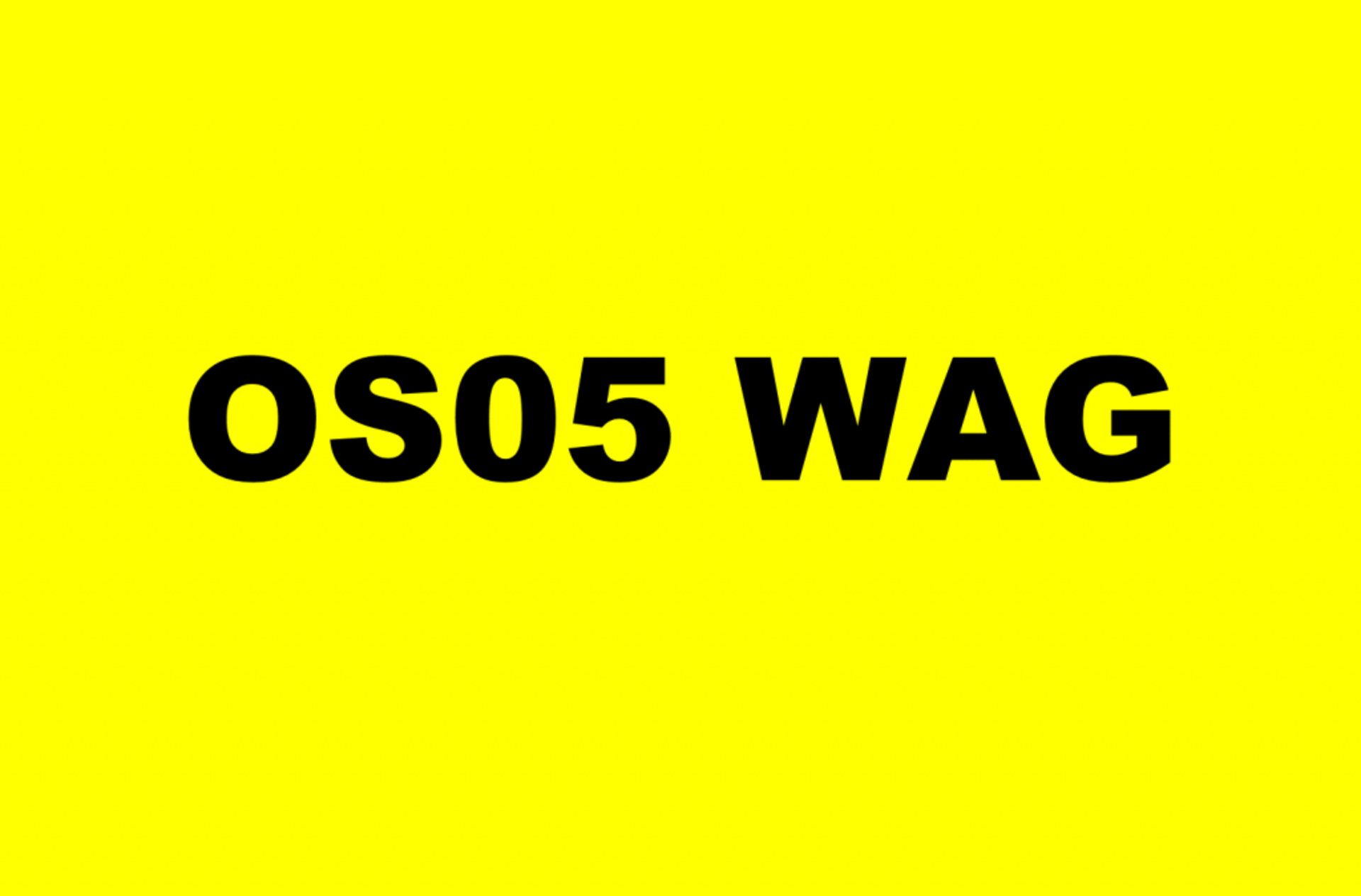 REGISTRATION - OS05 WAG