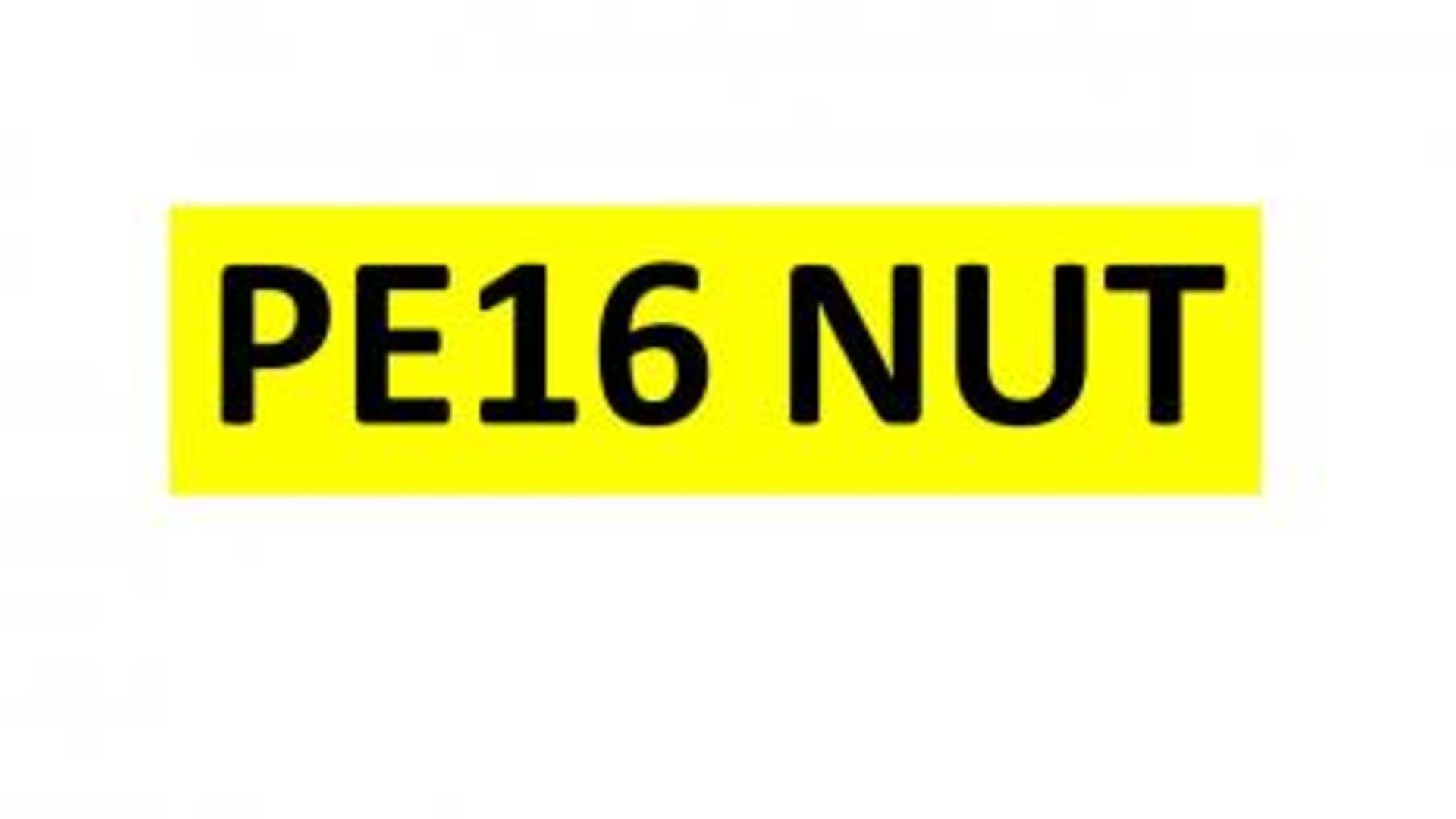 Registration - PE16 NUT