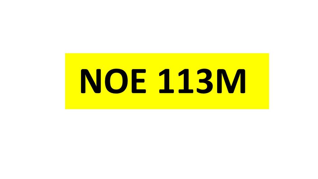 REGISTRATION - NOE 113M