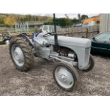 1951 Massey Ferguson Tractor