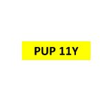 Registration on Retention - PUP 11Y