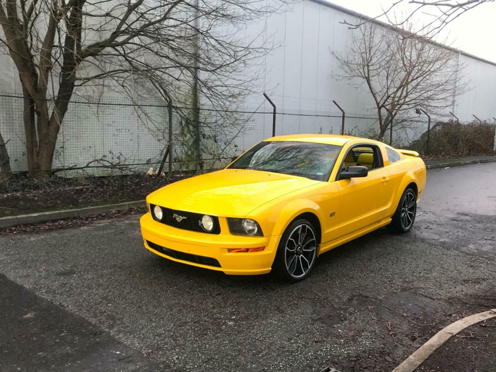 2006 FORD MUSTANG 4.6 V8 GT RARE MANUAL SCREAMING YELLOW LHD FRESH IMPORT - Image 8 of 9