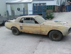 1967 FORD MUSTANG GT SALOON, 2016 STERLING 6 BERTH, GREENMECH CHIPPER, NEUSON EXCAVATOR, BOBCAT, JCB, VANS, FORKLIFTS ETC ENDS 7pm THURSDAY!