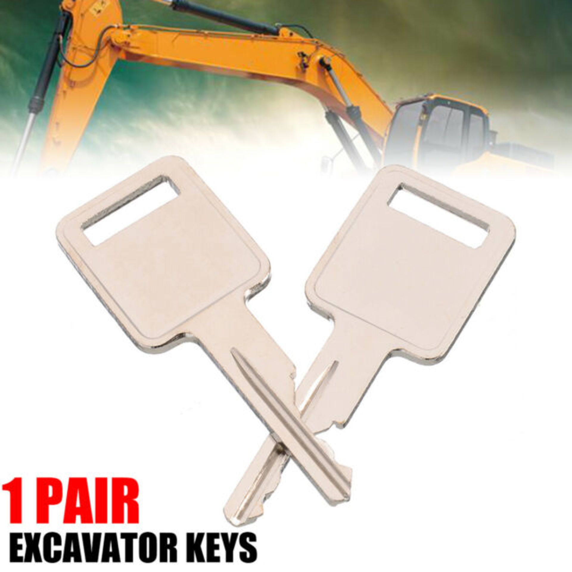 ONE PAIR NEW BOBCAT/ CASE KEYS