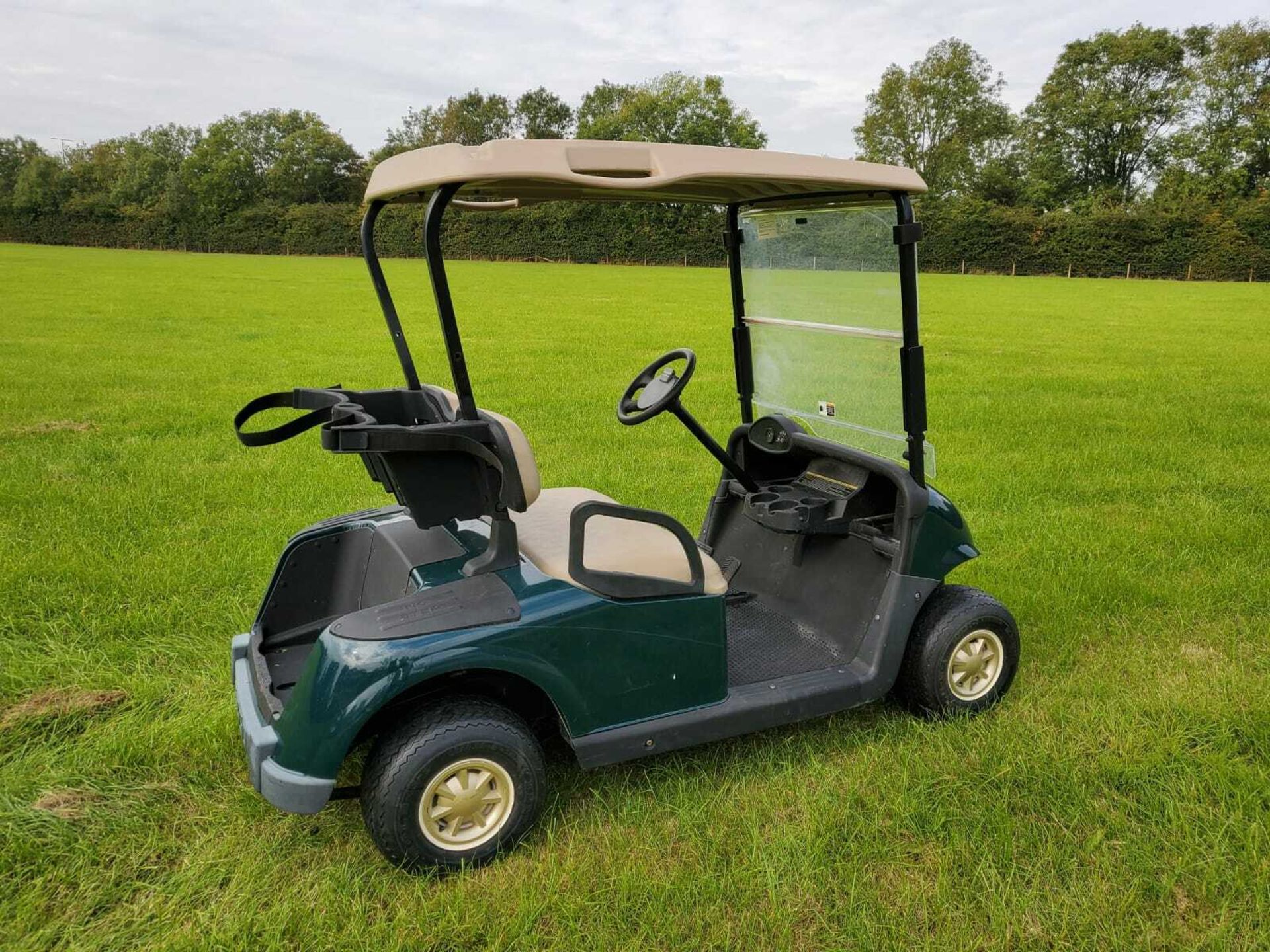 EZGO GOLF BUGGY, ELECTRIC, YEAR 2014, COMPLETE WITH ONBOARD CHARGER *PLUS VAT* - Image 3 of 7