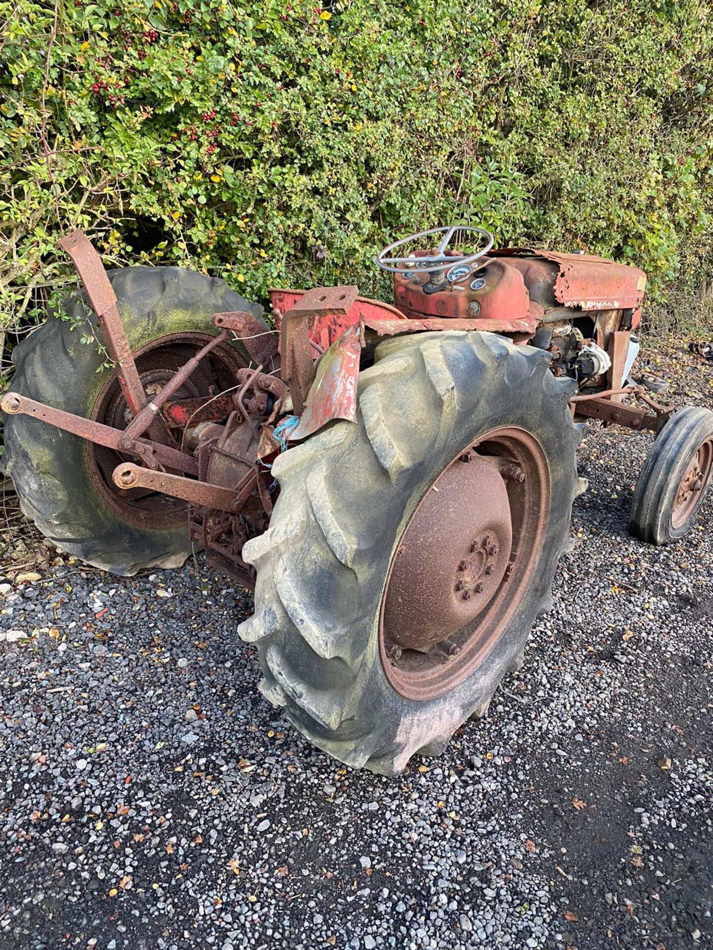 MASSEY FERGUSON 135 3 CYLINDER PERKINS DIESEL, FOR RESTORATION *PLUS VAT* - Image 7 of 8