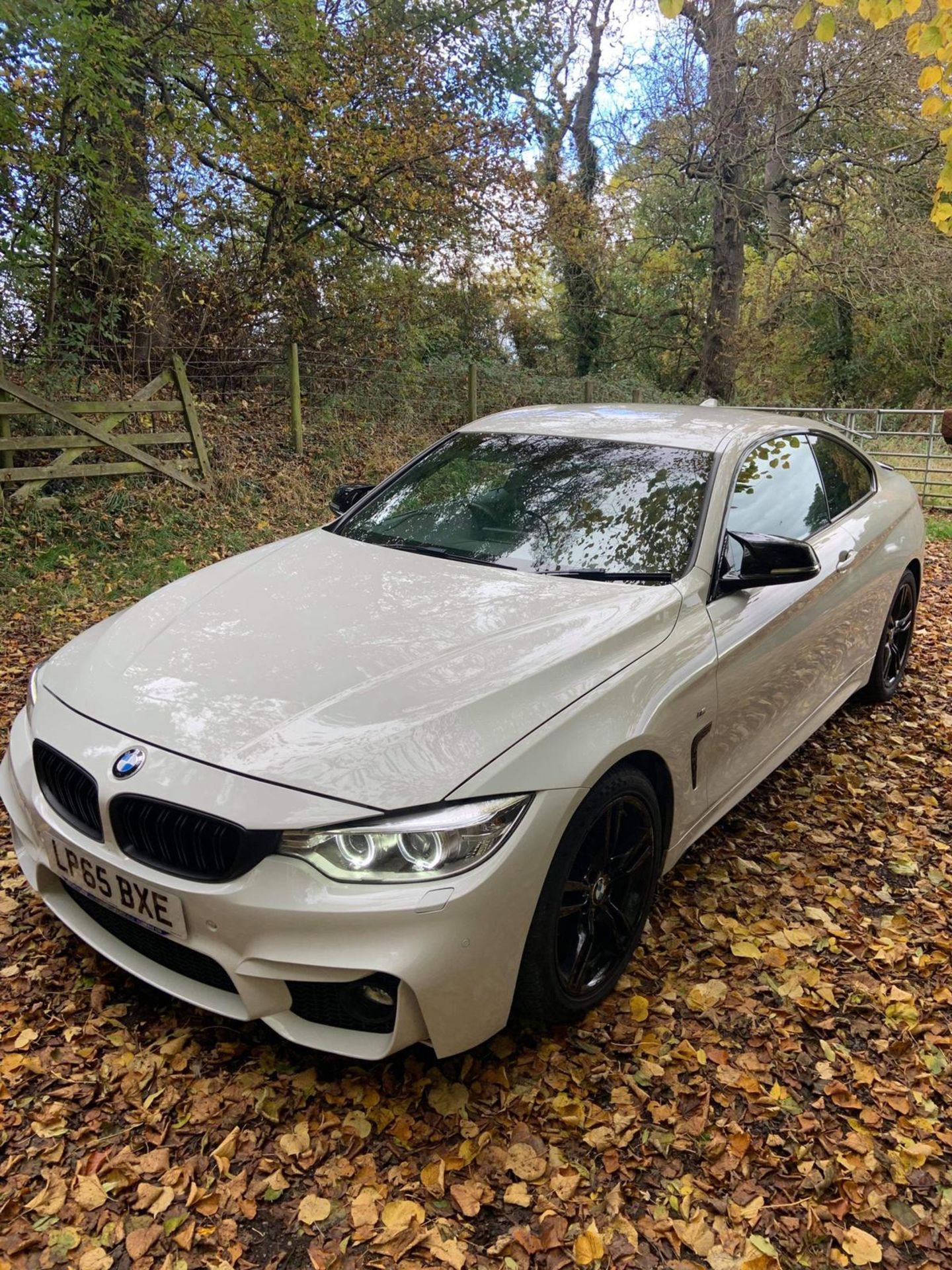 2015/65 REG BMW 420D M SPORT 2.0 DIESEL AUTOMATIC WHITE COUPE, SHOWING 2 FORMER KEEPERS *NO VAT* - Image 2 of 14