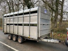 IFOR WILLIAMS DP120 TRI AXLE LIVESTOCK TRAILER, YEAR 2007, 14FT KING, WITH SHEEP DECKS, DIVIDE GATE