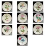 Set (10) English Botanical Creamware Plates