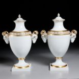 Large pair Furstenberg porcelain lidded urns