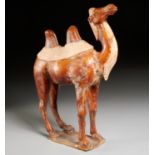 Tang era pottery figure of a Bactrian camel