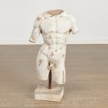 Antique Grand Tour life-size marble torso