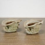 Pair cast stone conch shell garden planters