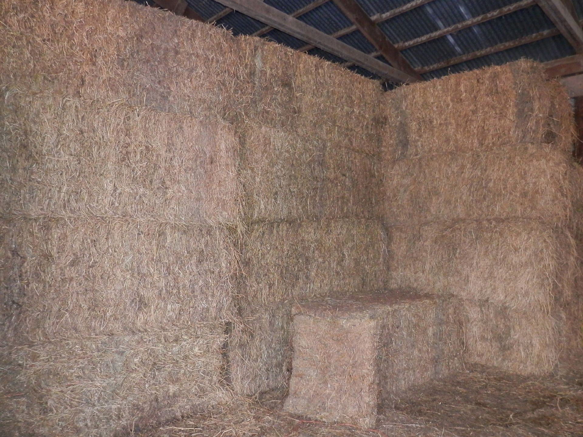 BALED HAY- APPROX 87 BALES--TO BE SOLD $ PER BALE X Quantity