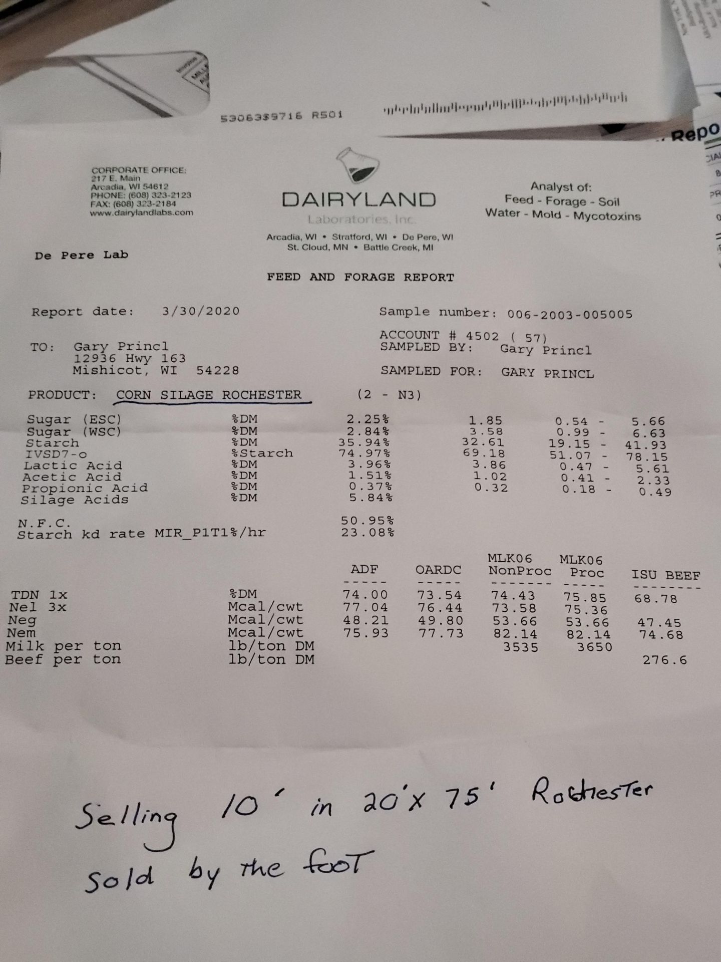 10' CORN SILAGE: IN SOUTH 20x75 SILO, SOLD BY THE FOOT - Image 2 of 2