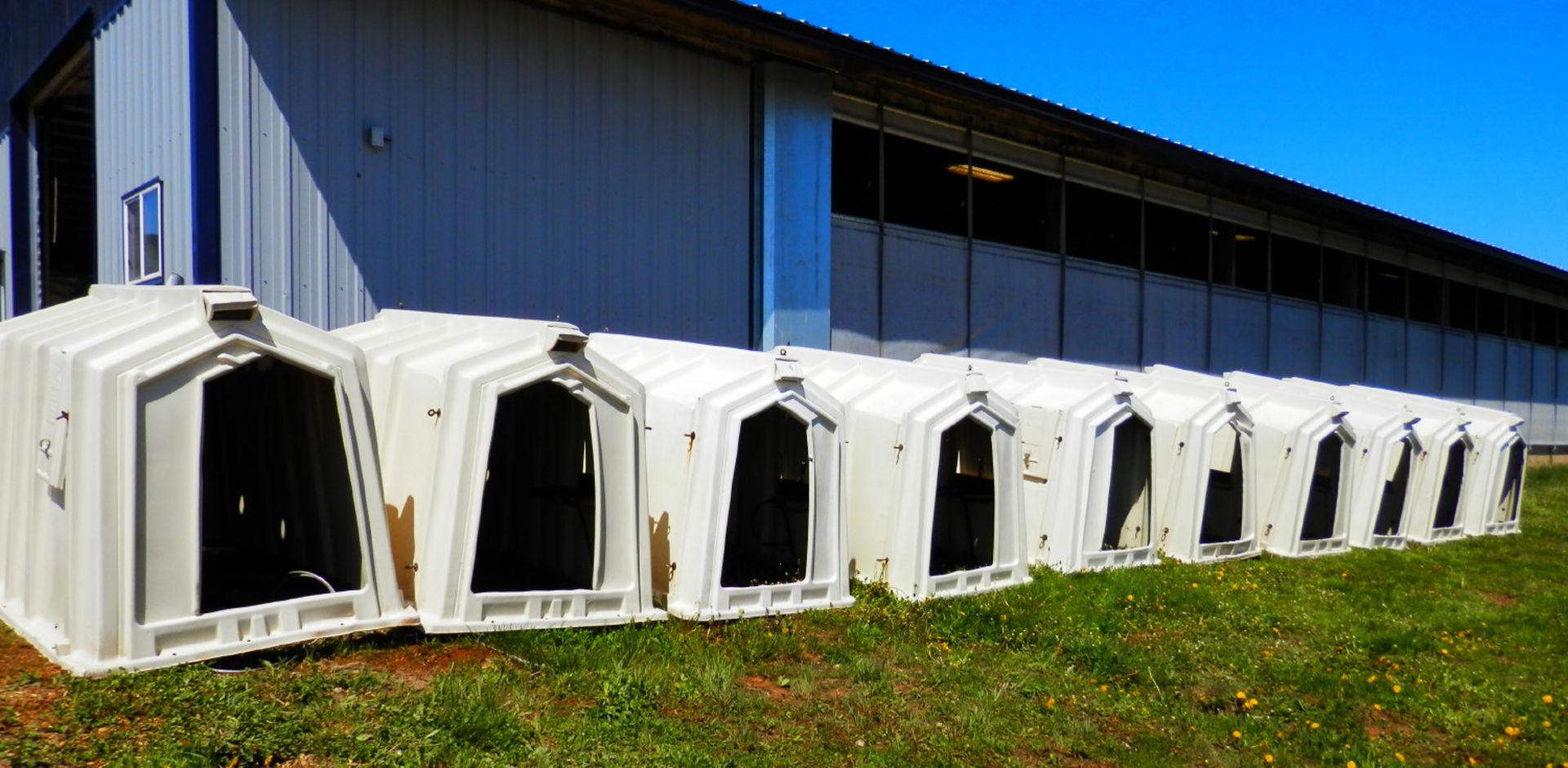 CALF TEL CALF HUTCHES, 11 Available, selling choice x $