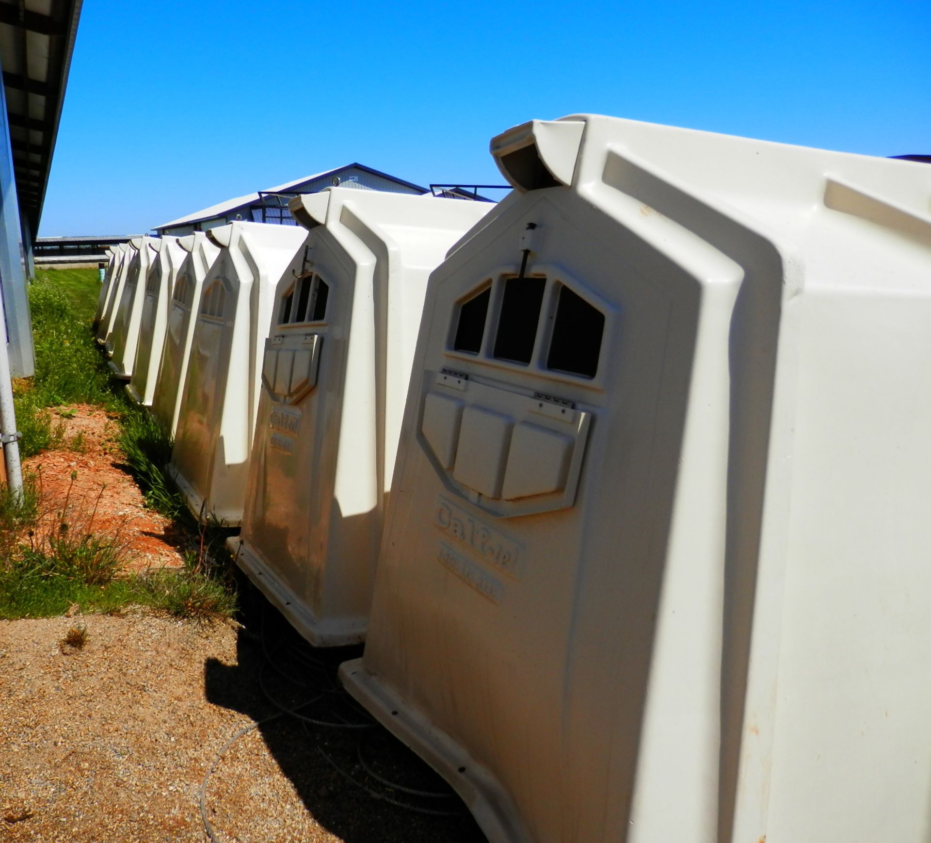 CALF TEL CALF HUTCHES, 11 Available, selling choice x $ - Image 2 of 3