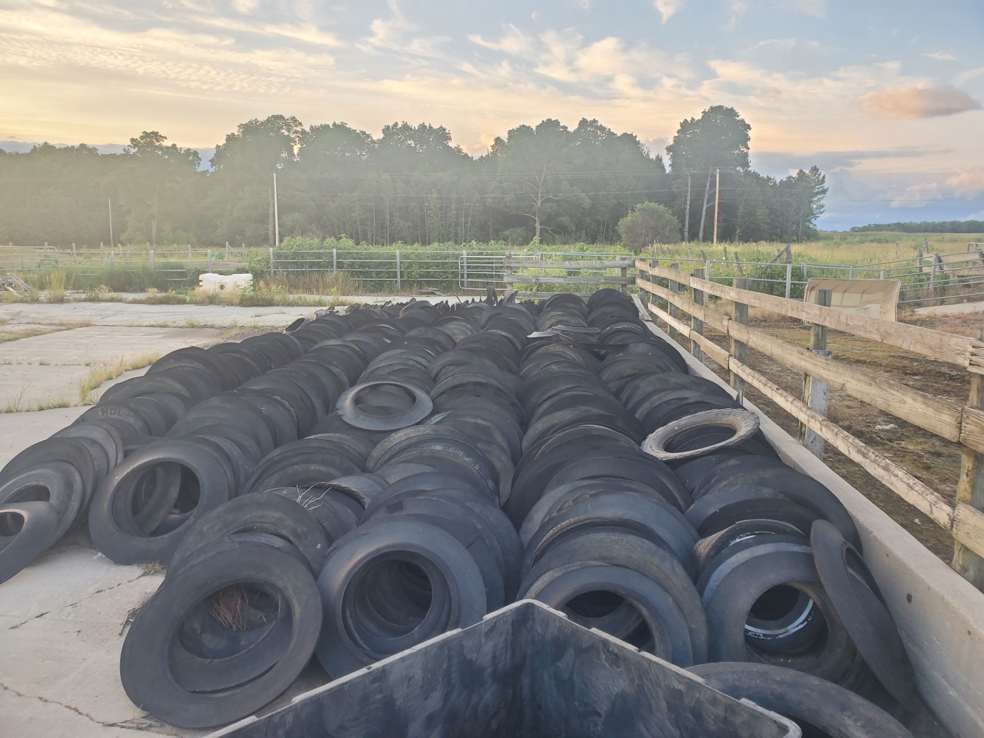 BUNKER TIRE SIDEWALLS, SOLD IN LOTS OF 300 (1800 available) - Image 2 of 2