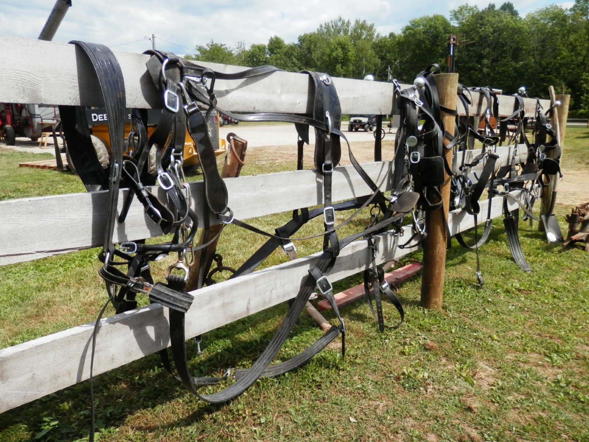 BIO DRAFT HORSE HARNESS