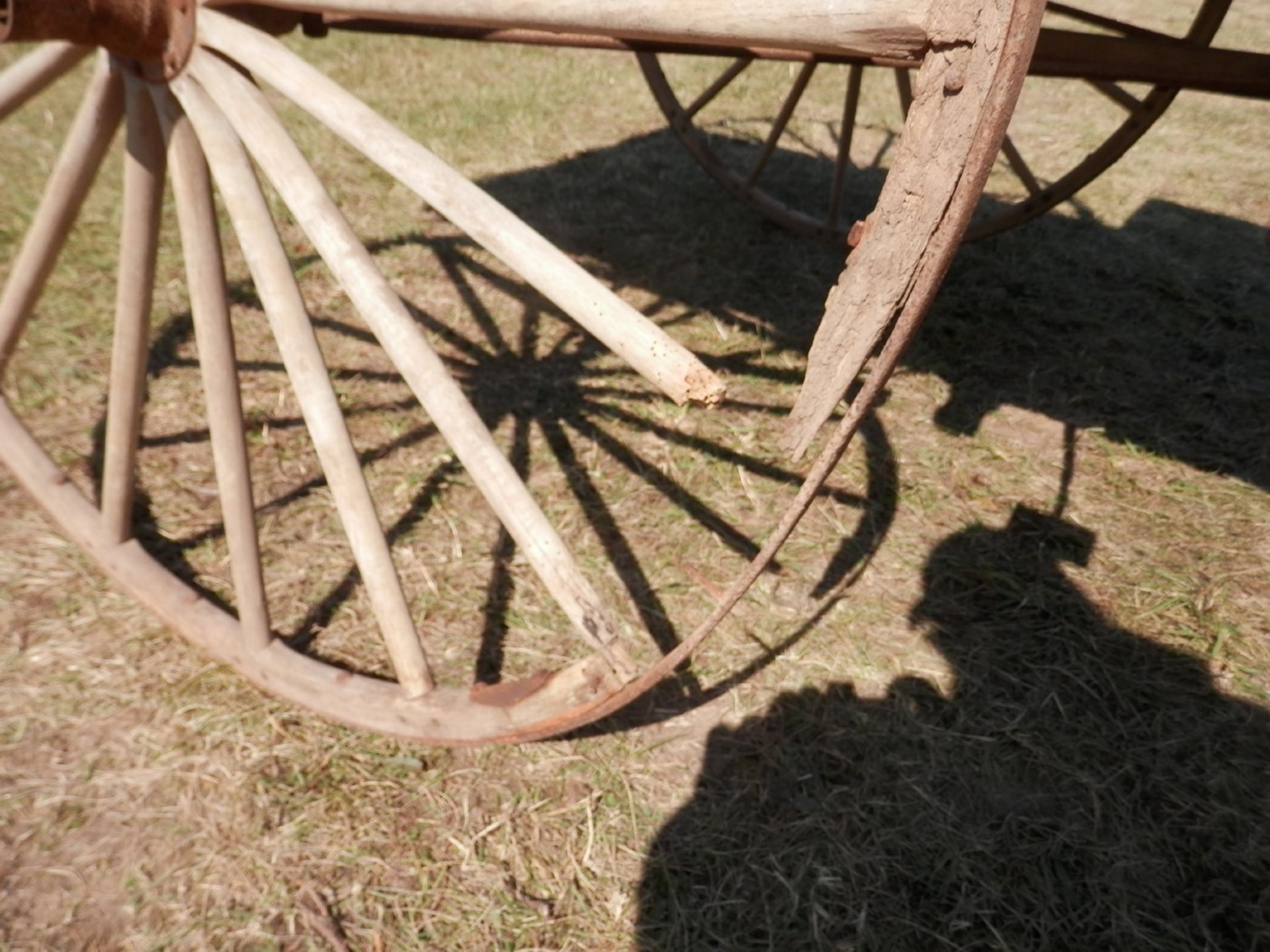 HORSE DRAWN BUCKBOARD WAGON - Image 8 of 8