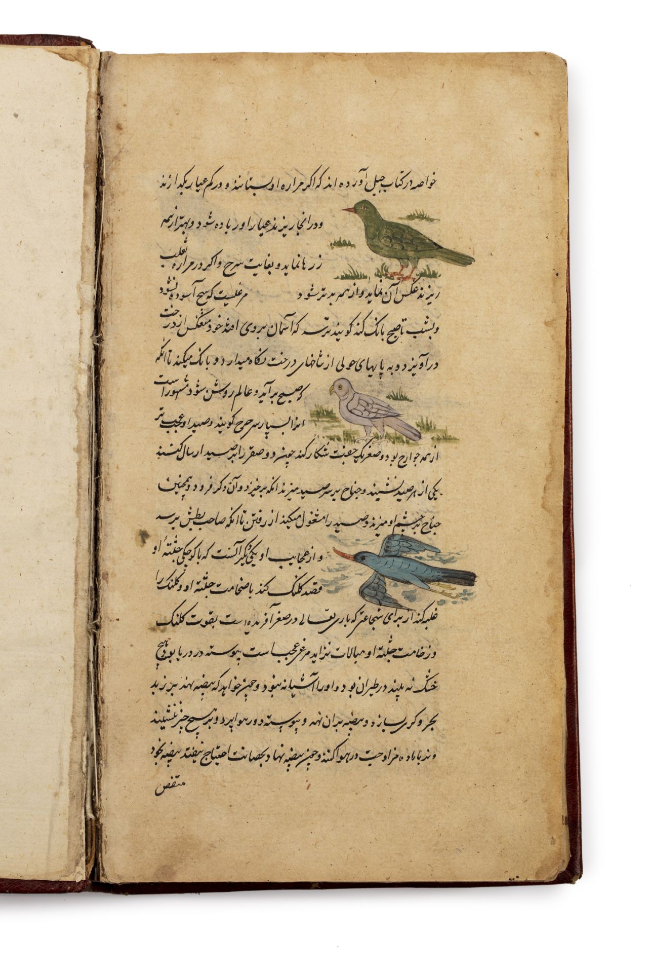 Zakariyya b. Muhammad b. Mahmud Al-Qazwini (m. en 1283) - 'Ajā'ib al-makhlûqât - [...] - Bild 4 aus 4